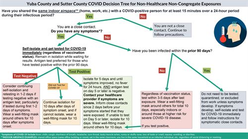 decision tree image