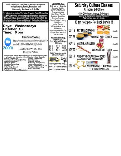 aiep flyer image